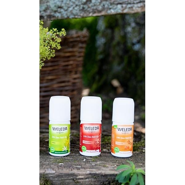 Déodorant roll-on 24h Grenade