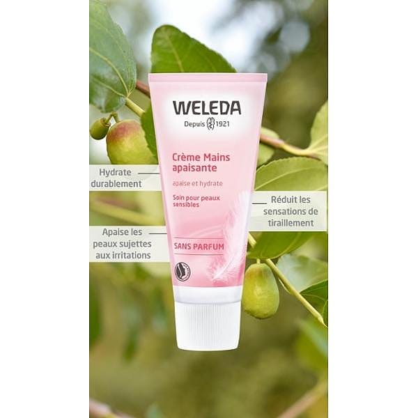 Crème Mains Apaisante
