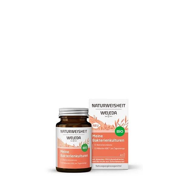 Meine Bakterienkulturen