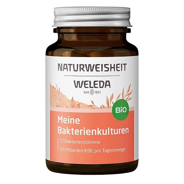 Meine Bakterienkulturen