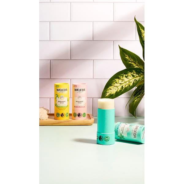 Trio déodorants solides