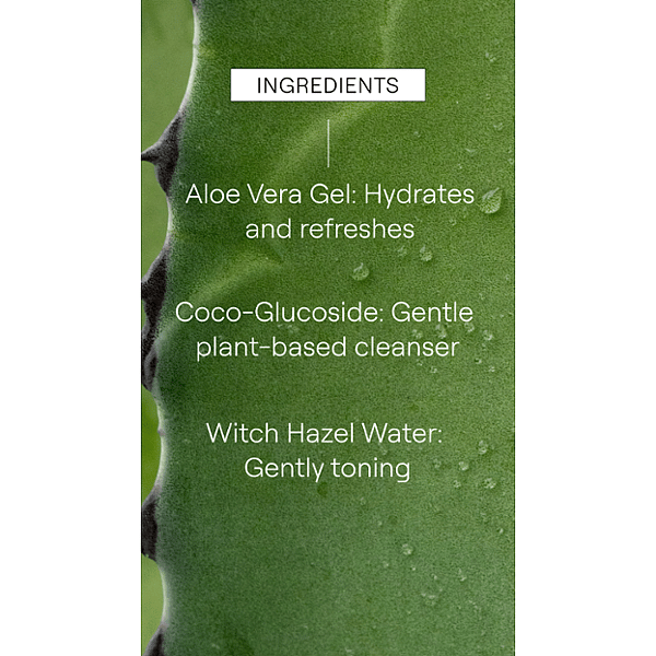 Aloe vera plant listing the Deep Cleansing Gel key ingredients.