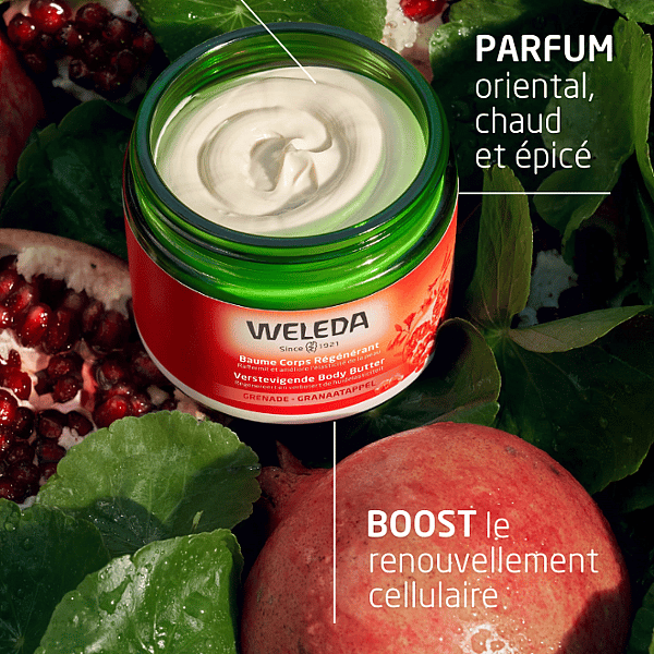 Baume Corps régénérant à la Grenade