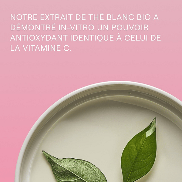 Crème de Jour lissante Rose Musquée & Thé blanc