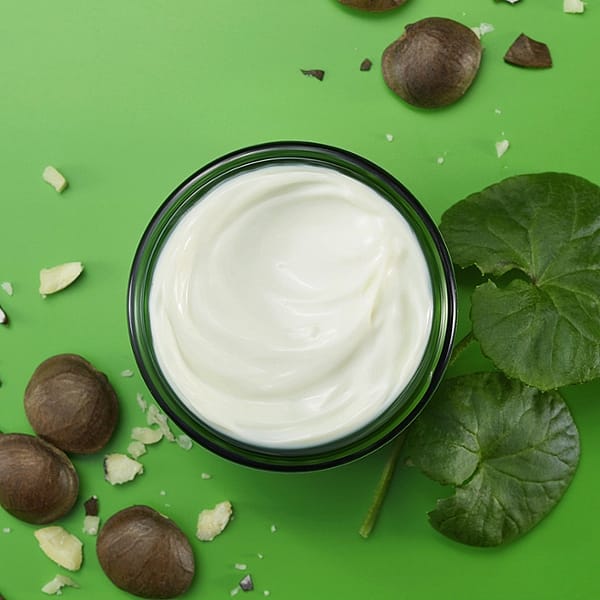 Skin Food Crema de Noche