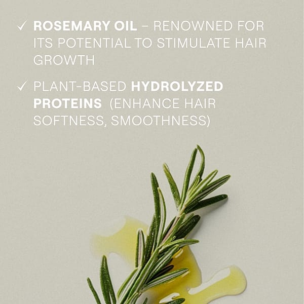 Rosemary oil - Renowned for its potential to stimulate hair growth