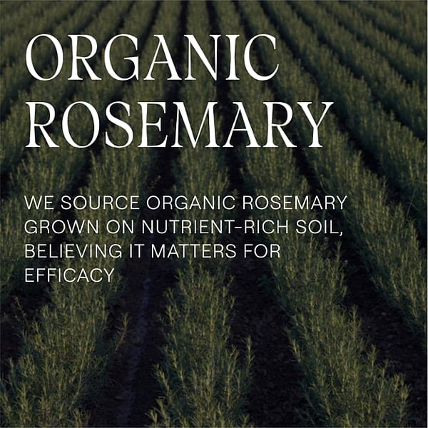 Organic rosemary : we source organic rosemary grown on nutrient-rich soil, believing it matters for efficacy.