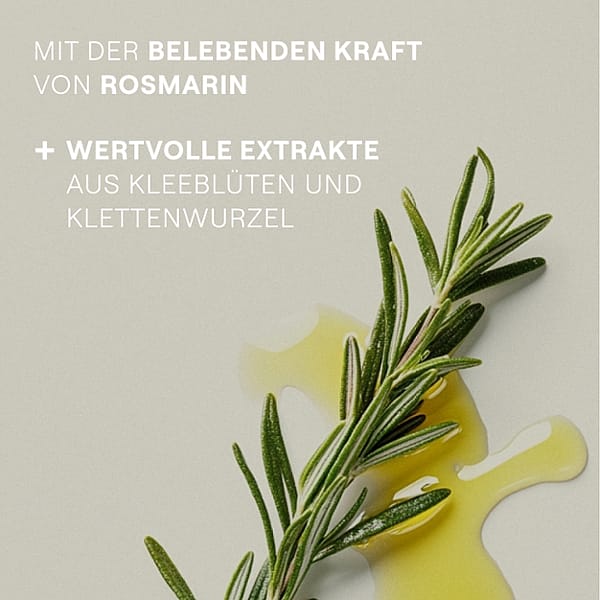 Rosmarinzweig und Rosmarinöl. Mit der blebenden Kraft von Rosmarin. Wertvolle Extrakte aus Kleeblüten und Klettenwurzel.