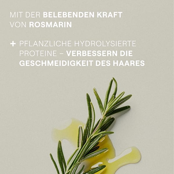 Rosmarinzweig & -öl. Mit der belebenden Kraft von Rosmarin. Pflanzliche hydrolysierte Proteine - verbessern die Gescheidigkeit des Haares.