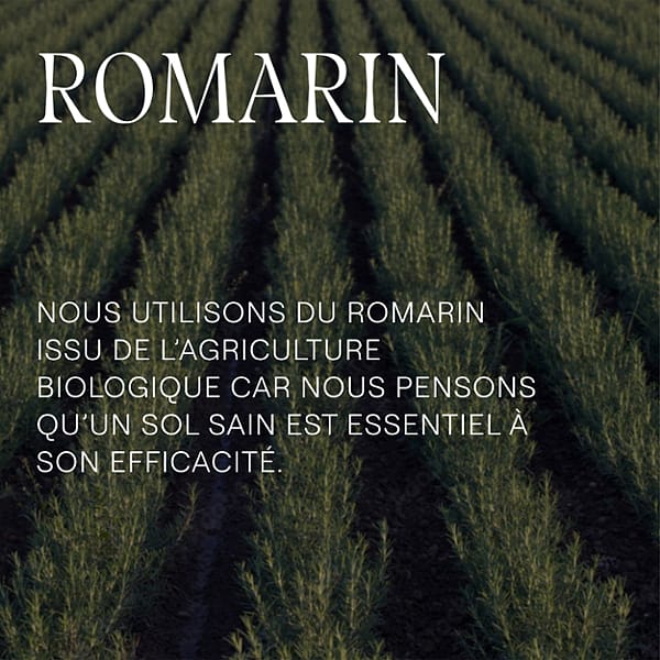 Romarin. Nous utilisons du romarin issu de l'agriculture biologique car nous pensons qu'un sol sain est essentiel à son efficacité