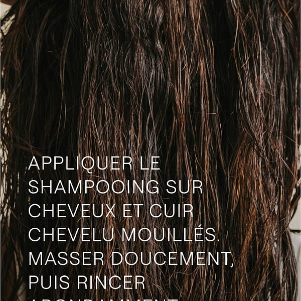 Shampooing revitalisant au Romarin