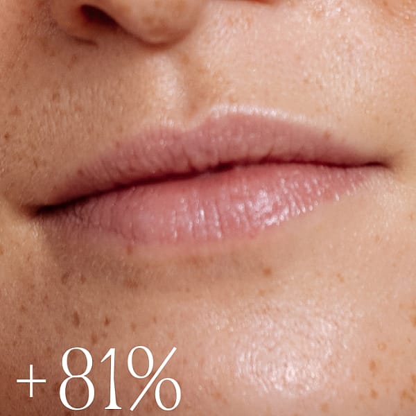 Protector Labial Everon