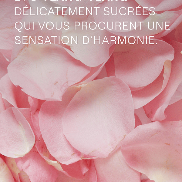 Love Crème de Douche Rose délicate