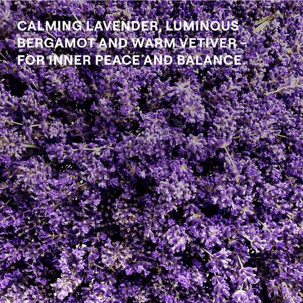 Lavender. Calming luminous bergamot and warm vetiver for inner peace and balance.