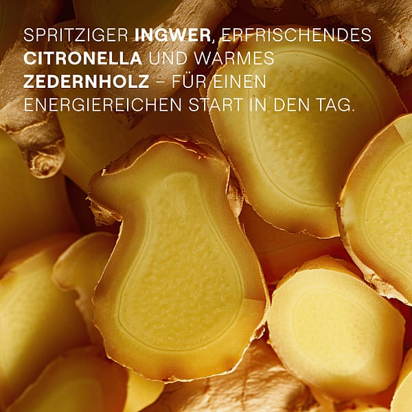 Ingwer. Spritziger Ingwer, erfrischendes Citronella und warmes Zedernholz - für einen energiereichen Start in den Tag.
