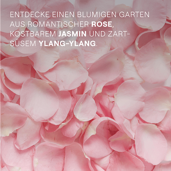 Rosenblätter. Entdecke einen blumigen Garten aus romantischer Rose, kostbarem Jasmin und zart-süssem Ylang-Ylang.