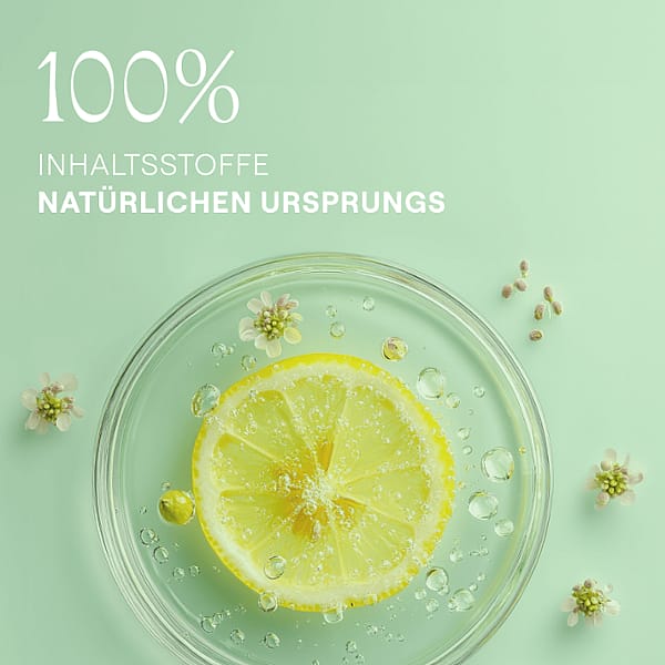 Zitronescheibe und Zitronenblüte in einer Petrischale. 100% Inhaltsstoffe natürlichen Ursprungs.