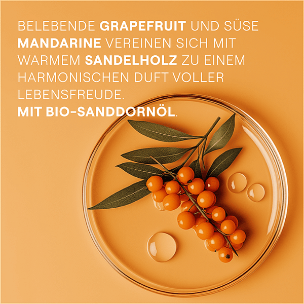 Sanddornzweig und Sanddornöl Tropfen in einer Petrischale. Belebende Grapefruit und süsse Mandarine vereinen sich mit warmen Sandelholz zu einem harmonischen Duft voller Lebensfreude. Mit Bio-Sanddornöl.