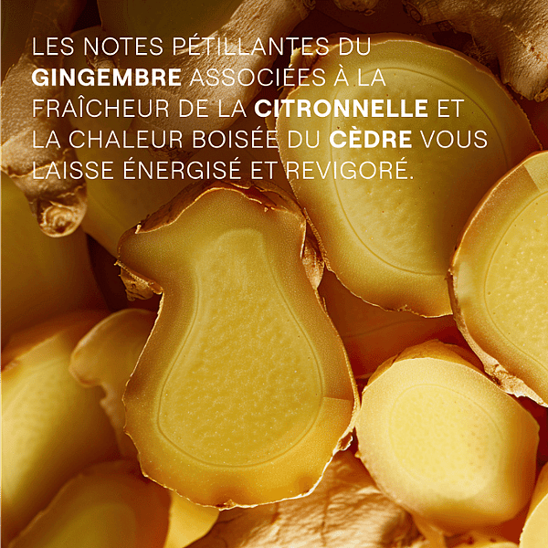 Gingembre. Les notes pétillantes du gingembre associées à la citronelle et la chaleur boisée du cèdre vous laisse énergisé et revigoré.
