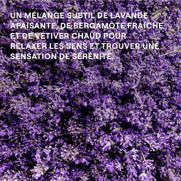 Lavande. Un mélange subtil de lavande apaisante, de bergamote fraîche et de vétiver chaud pour relaxer les sens et trouver une sensation de sérénité.