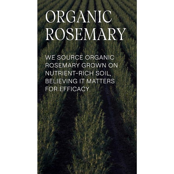 Long fields of rosemary with organic rosemary ingredient source text.