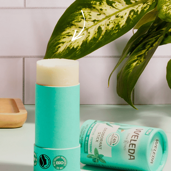 Déodorant solide 24H Eucalyptus Menthe poivrée