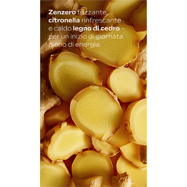 Gel Doccia Energy Zenzero