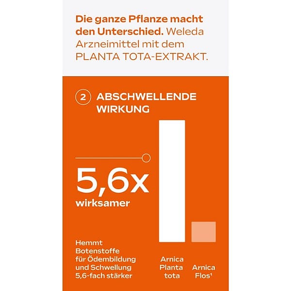 2x Arnika-Salbe 10%