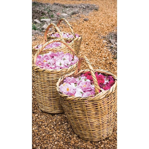 baskets full of rose flowers