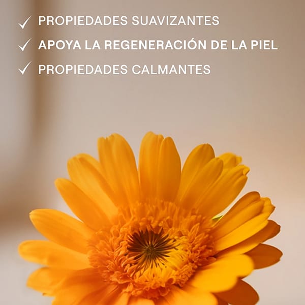Neceser Baby diseño infantil. Crema Pañal y Champú y Gel de Ducha de Caléndula.