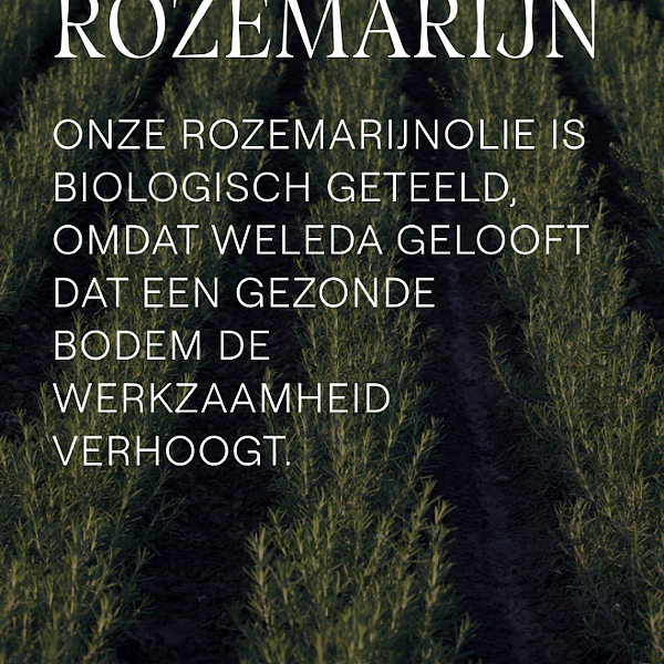 Rozemarijn Revitaliserende Haarlotion