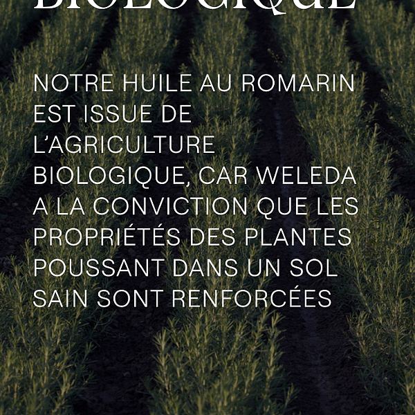 Shampooing Revitalisant au Romarin