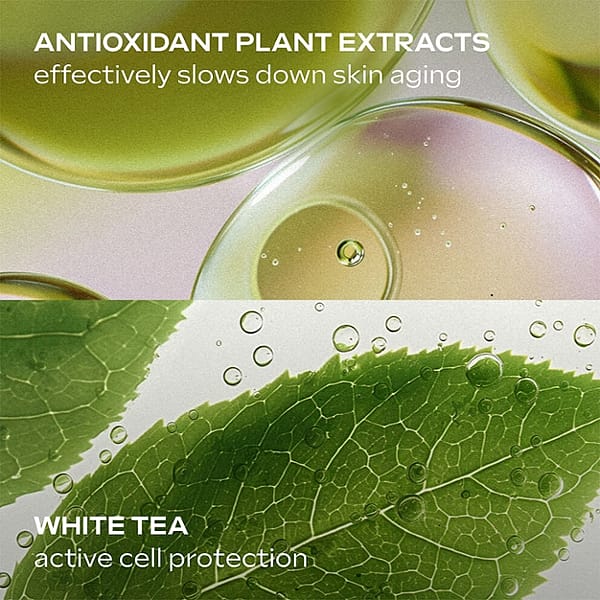 Antioxidant plant extracts effectively slowa down skin aging