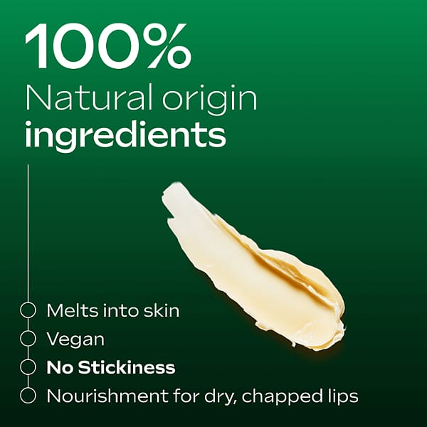 skin food lipstick 100% natural origin ingredients