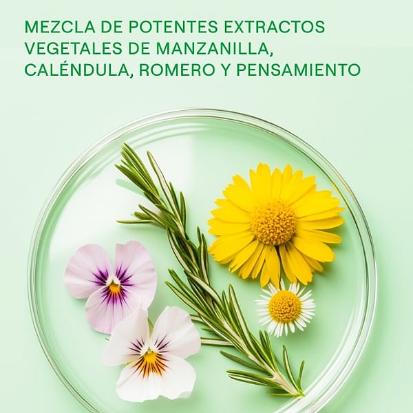 Skin Food Leche Corporal 250ml