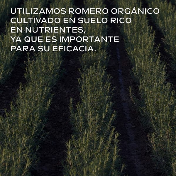 Loción Capilar Revitalizante de Romero