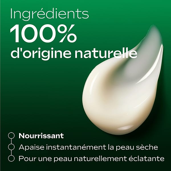 Lait Corps Skin Food