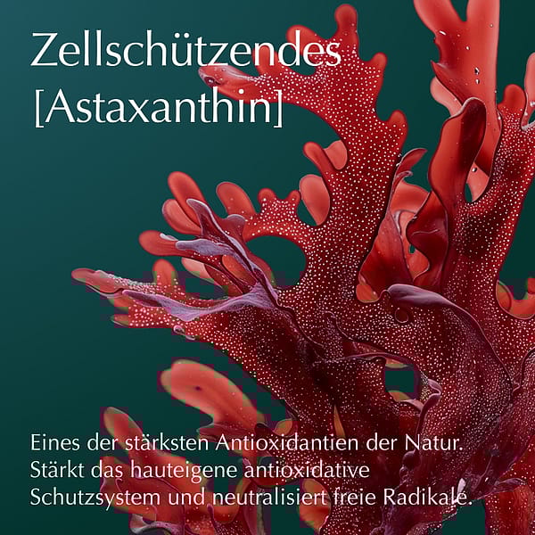 Cell Longevity Ultra Protect & Lift Eye Perfection Cream