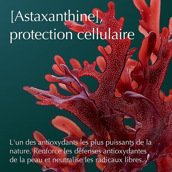 Cell Longevity Ultra Protect & Lift Day Routine