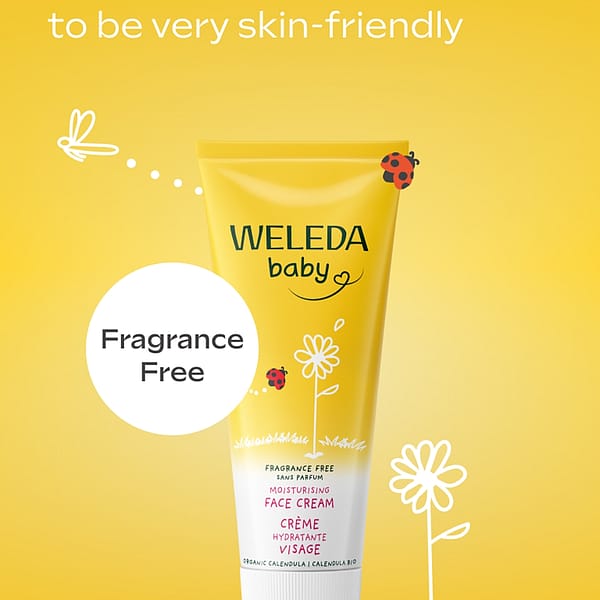 Calendula Face Cream, Fragrance free