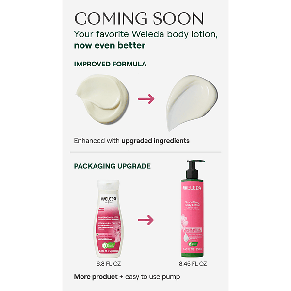 Pampering Body Lotion - Wild Rose