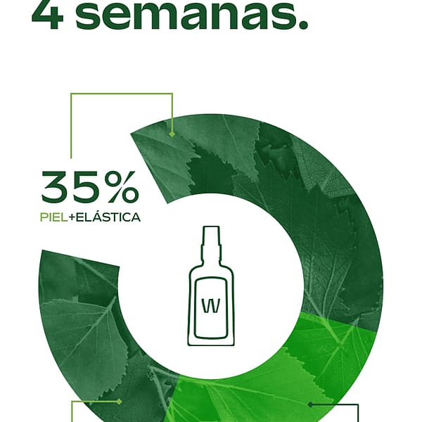 Aceite de Abedul para la Celulitis