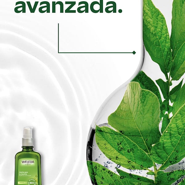 Aceite de Abedul para la Celulitis