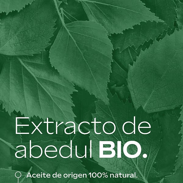 Aceite de Abedul para la Celulitis