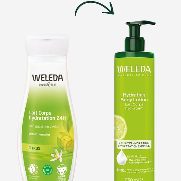 Lait Corps hydratant Aloe Vera