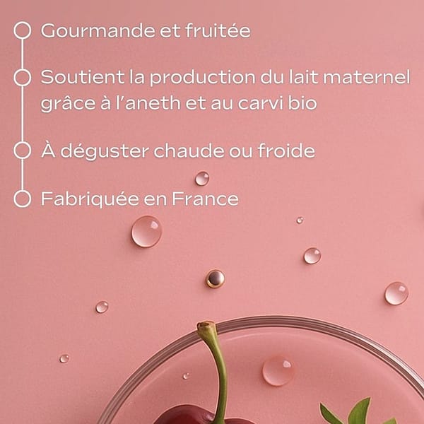 Tisane Allaitement bio Fruits rouges