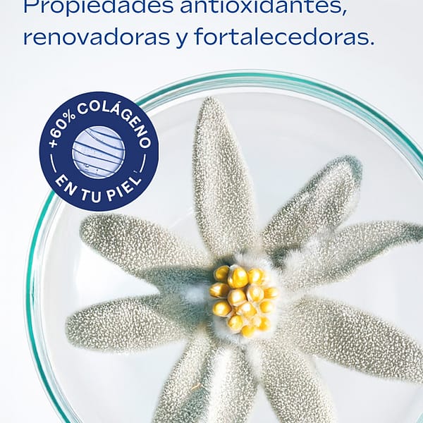 Crema de Día Redensificante de Genciana Azul y Edelweiss