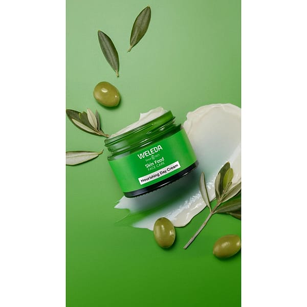 Skin Food Nourishing Day Cream