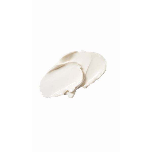 Skin Food Nourishing Day Cream