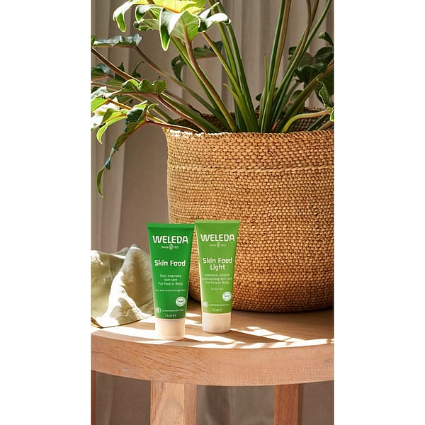 Skin Food Light